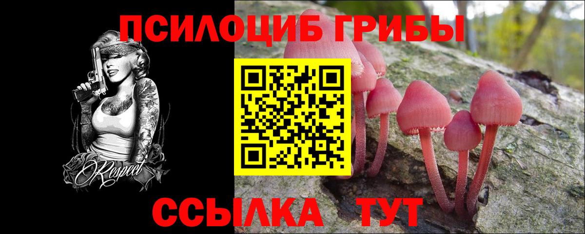 Тверь  Галлюциногенные грибы MAGIC MUSHROOMS  Галлюциногенные грибы Psilocybe  Вход с VPN 