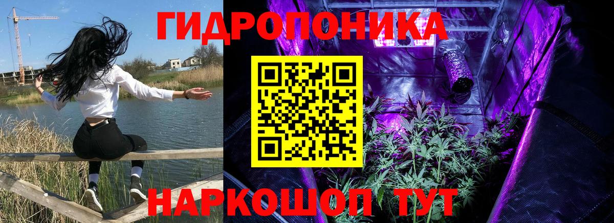 Шишки марихуана сатива Тверь