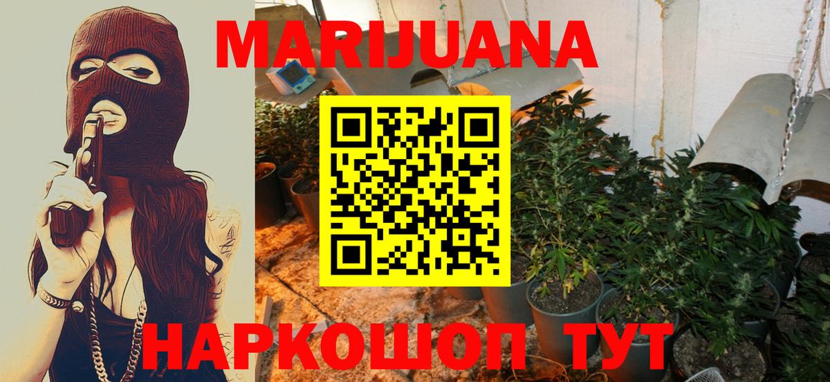 Бошки марихуана марихуана  Марихуана план  Тверь  Марихуана планчик  Каннабис семена  Вход с VPN 